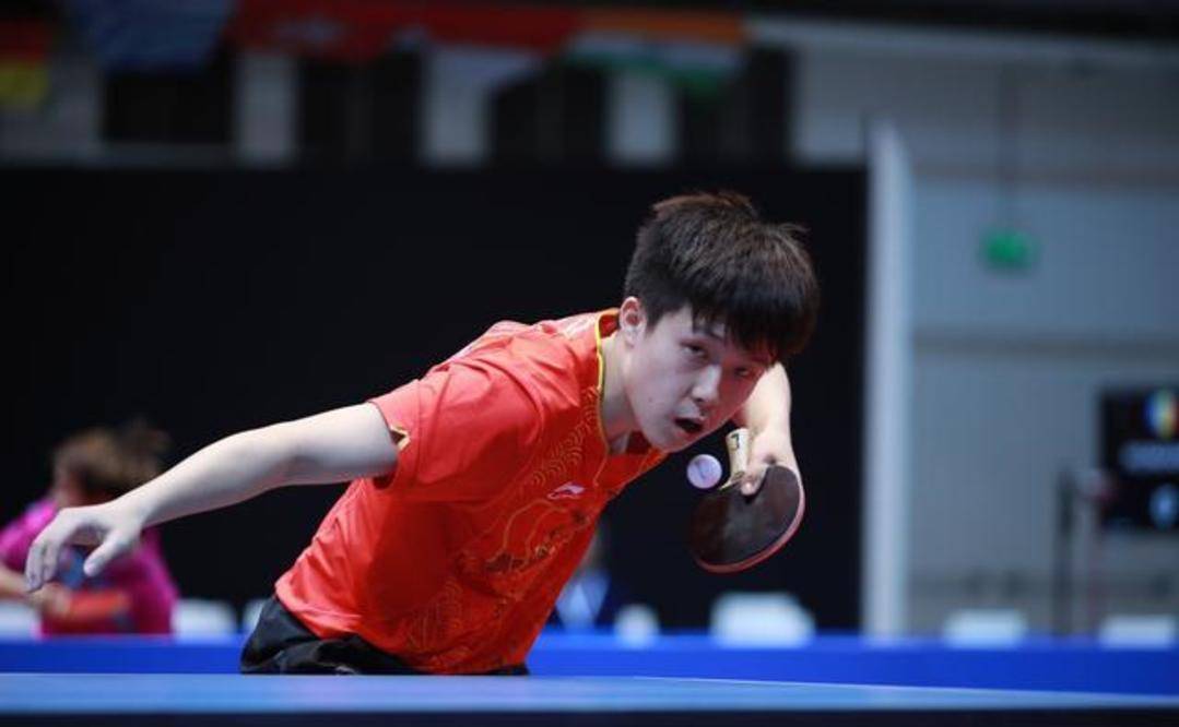 性和团队执 性和团队执